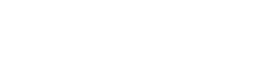 SS Metrology